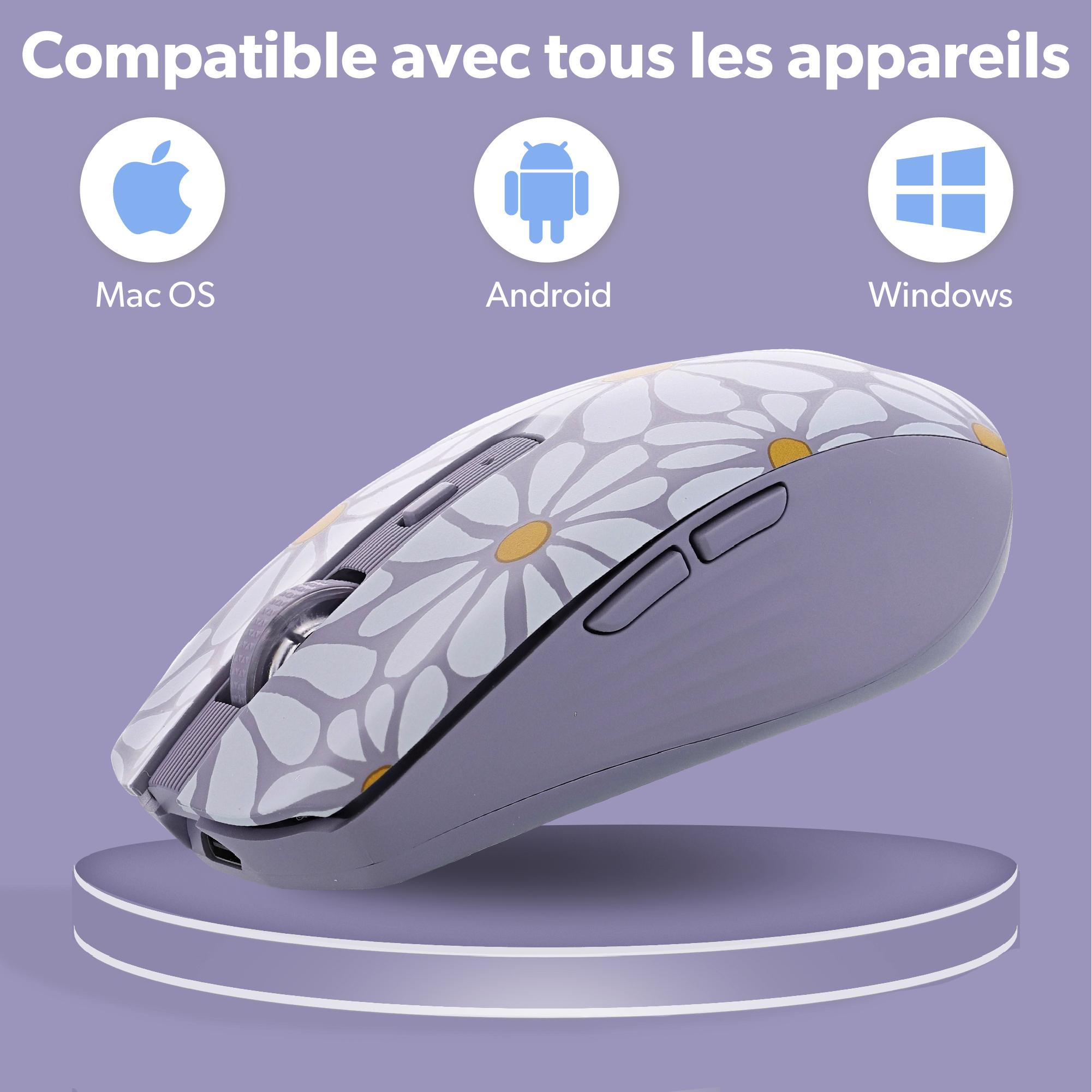 Voir la diapositive 10 : TNB Souris sans fil Flower