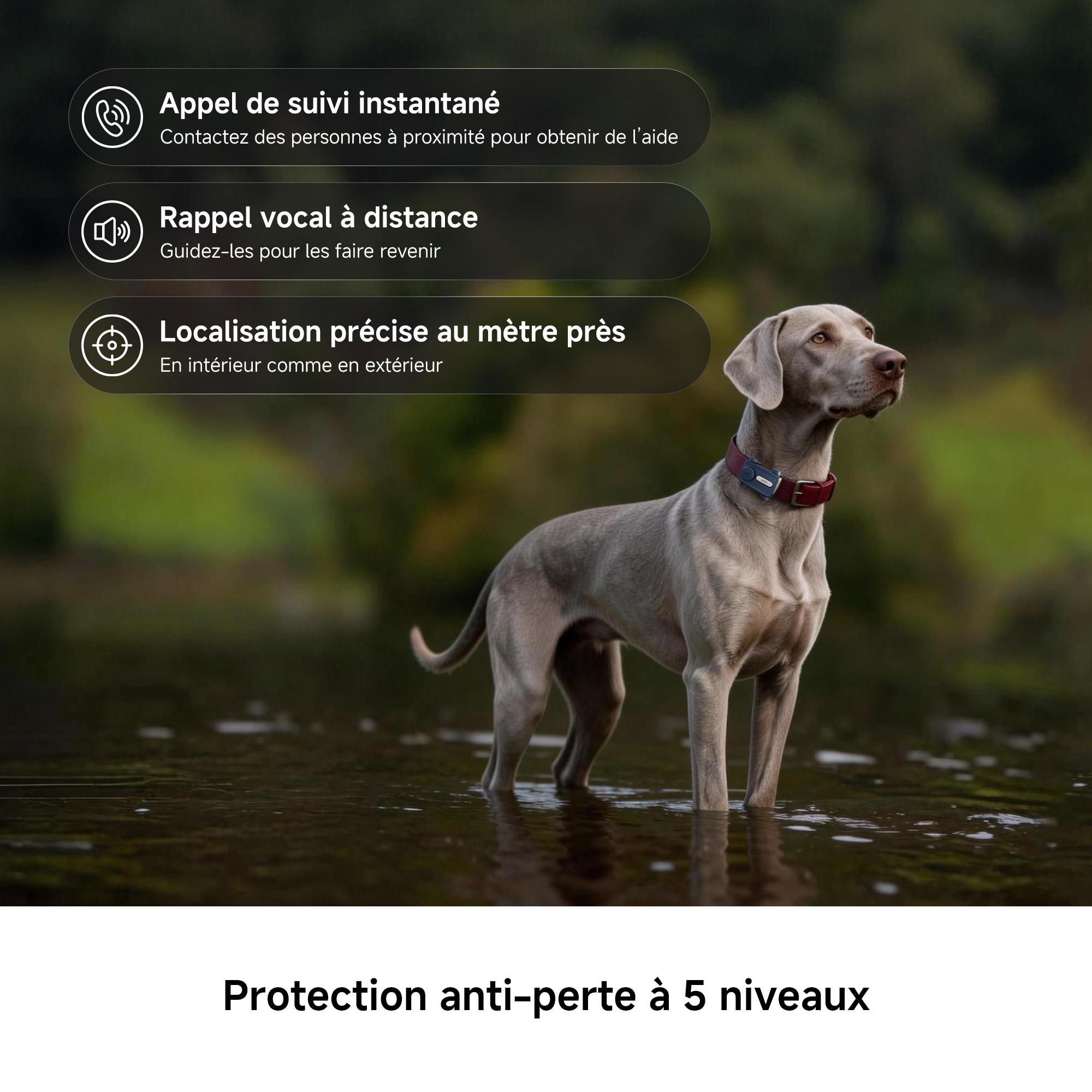 Voir la diapositive 5 : MOVA Trackeur GPS pour animaux SURE TRACK - Bleu