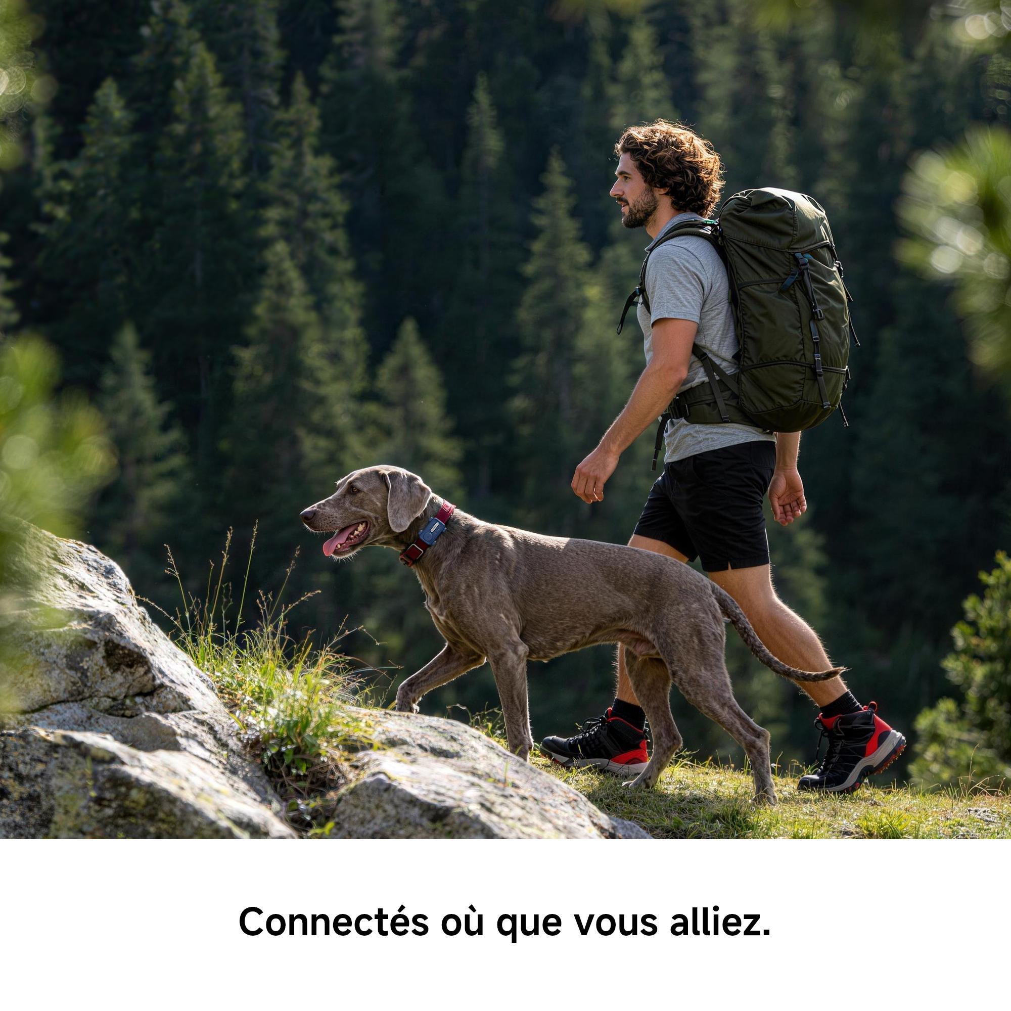 Voir la diapositive 9 : MOVA Trackeur GPS pour animaux SURE TRACK - Bleu
