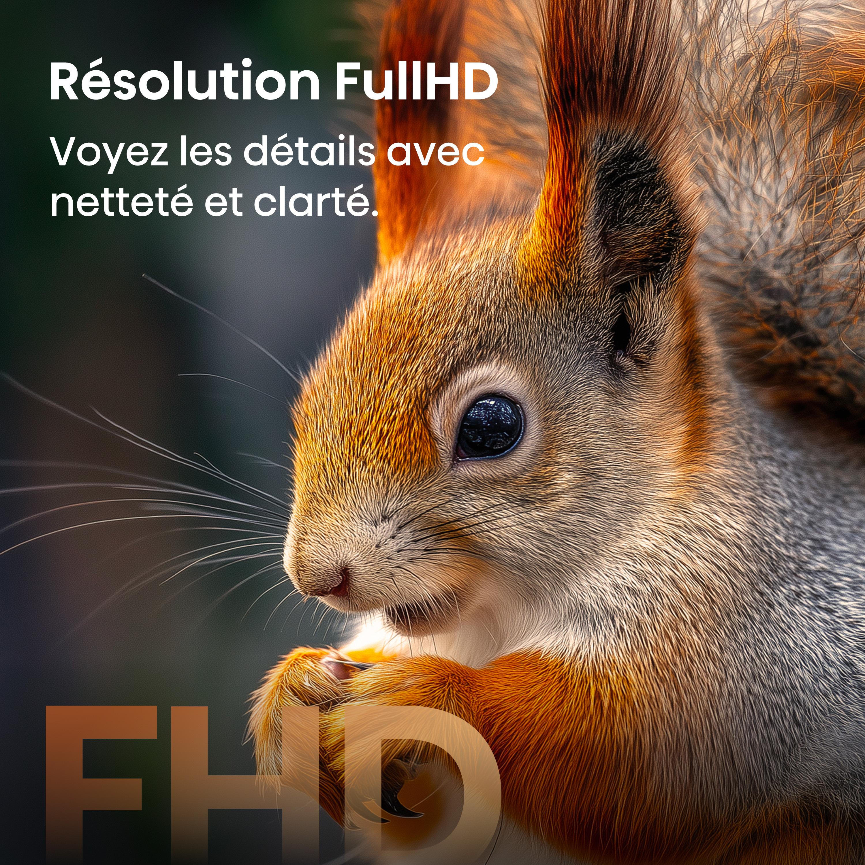 Voir la diapositive 7 : HISENSE TV QLED 40A5S 2026