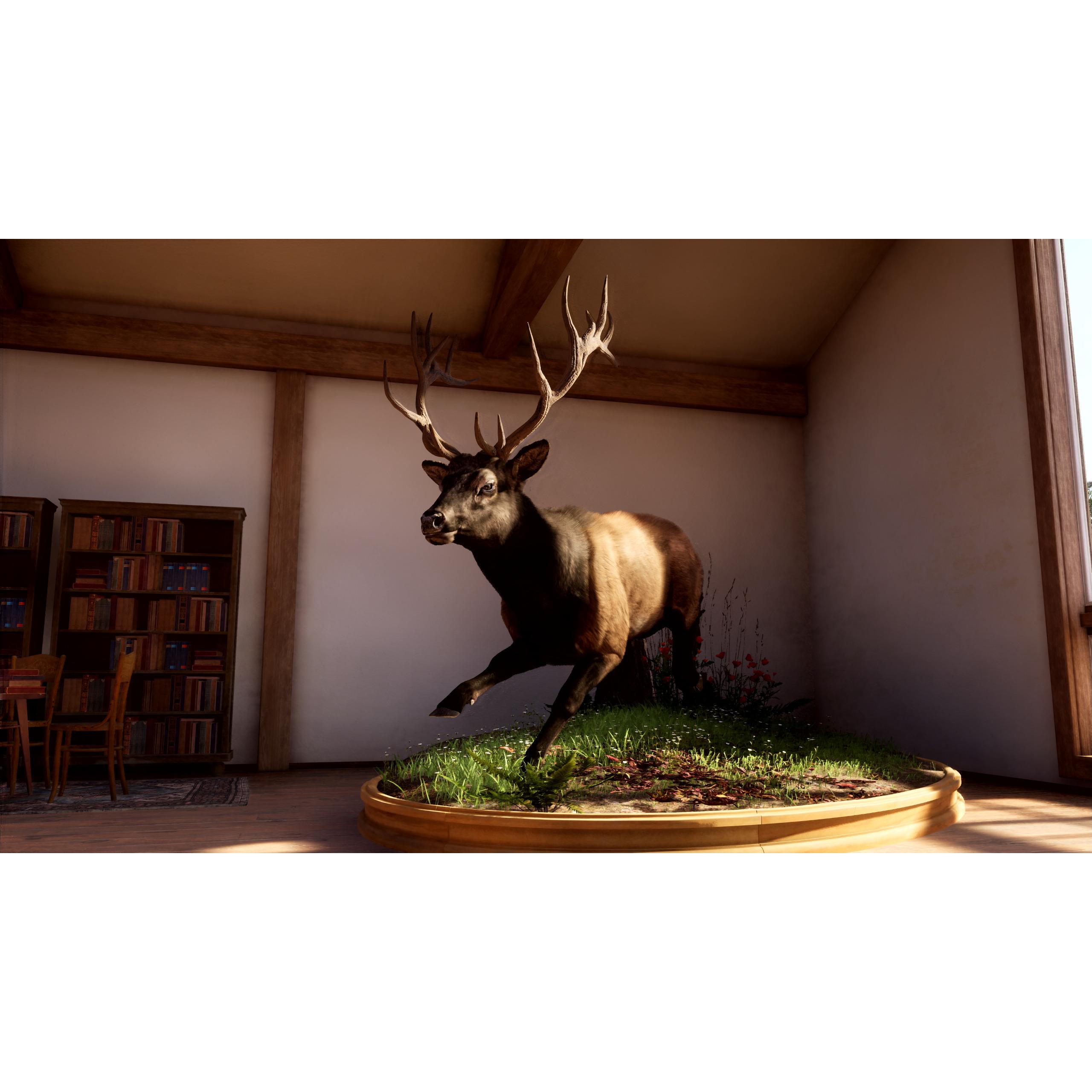 Voir la diapositive 2 : Way Of The Hunter 2 PS5