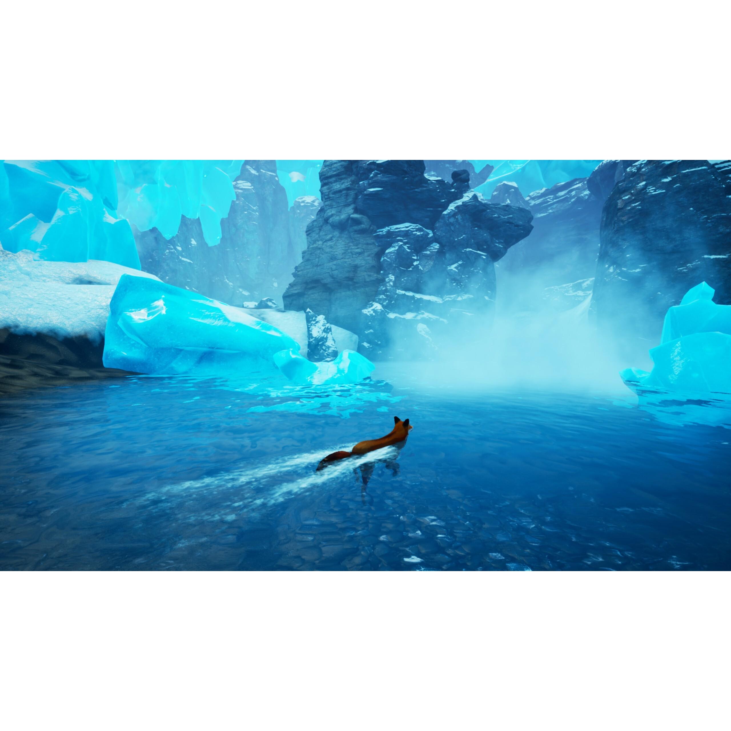Voir la diapositive 3 : Spirit of The North Nintendo Switch - Code de Téléchargement
