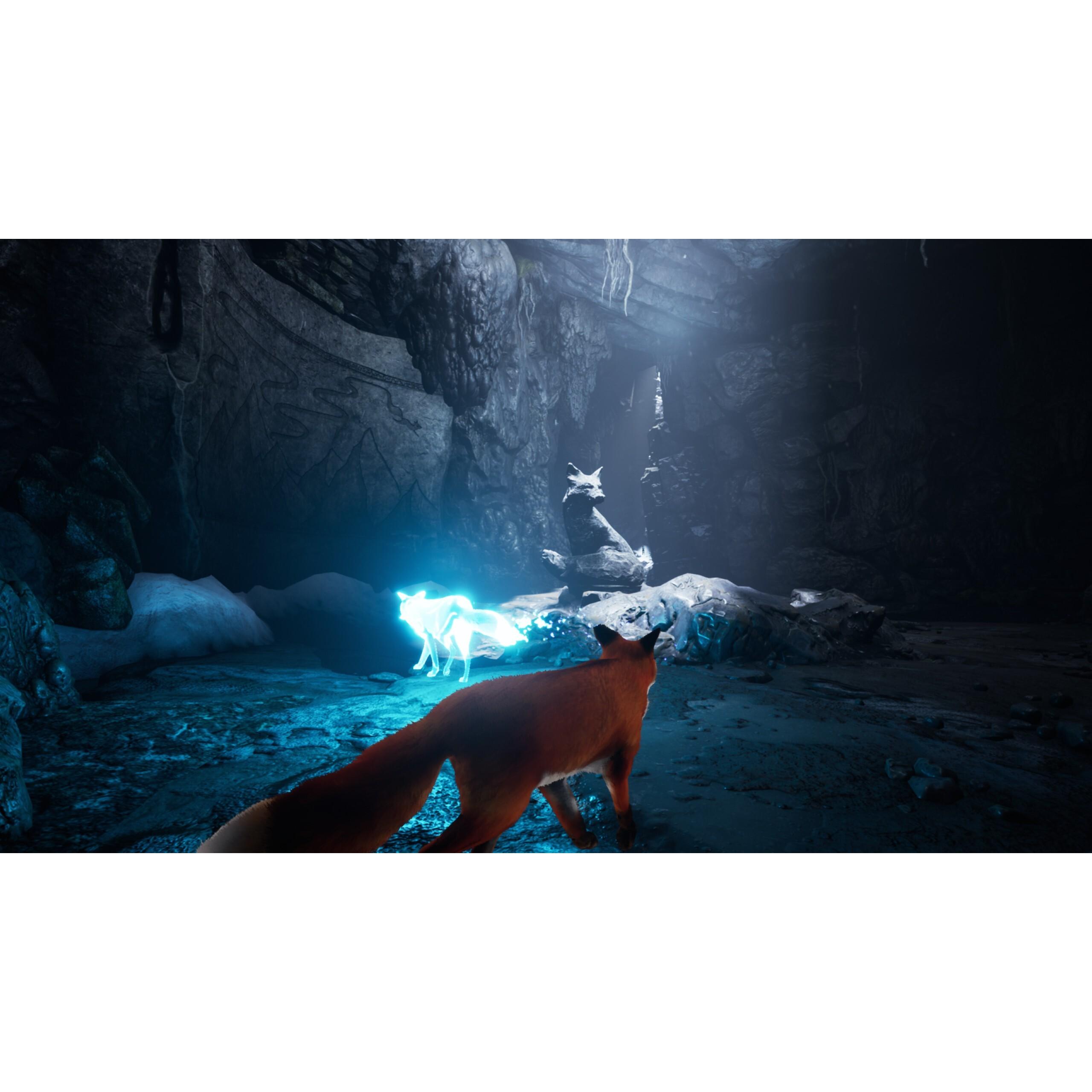Voir la diapositive 5 : Spirit of The North Nintendo Switch - Code de Téléchargement
