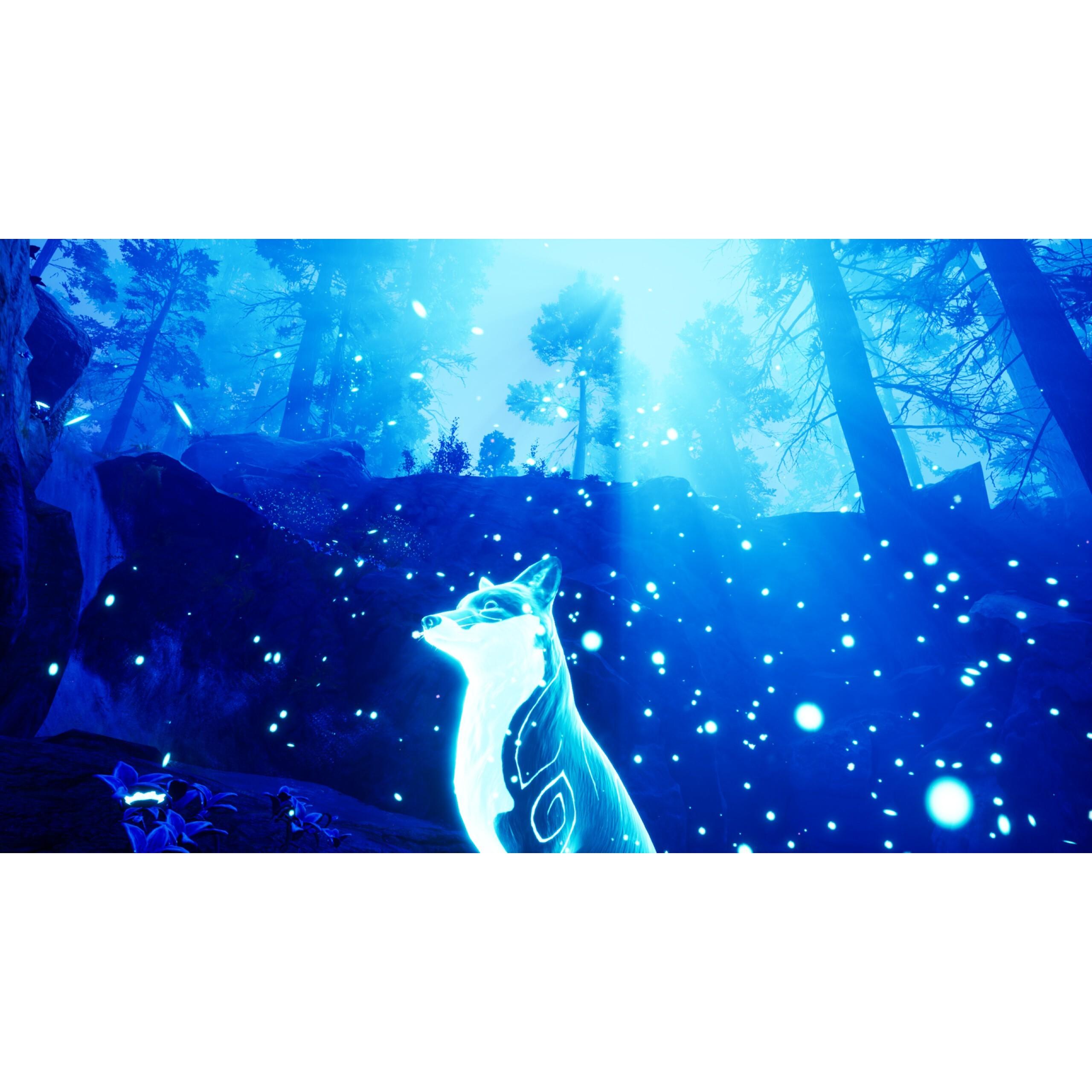 Voir la diapositive 7 : Spirit of The North Nintendo Switch - Code de Téléchargement