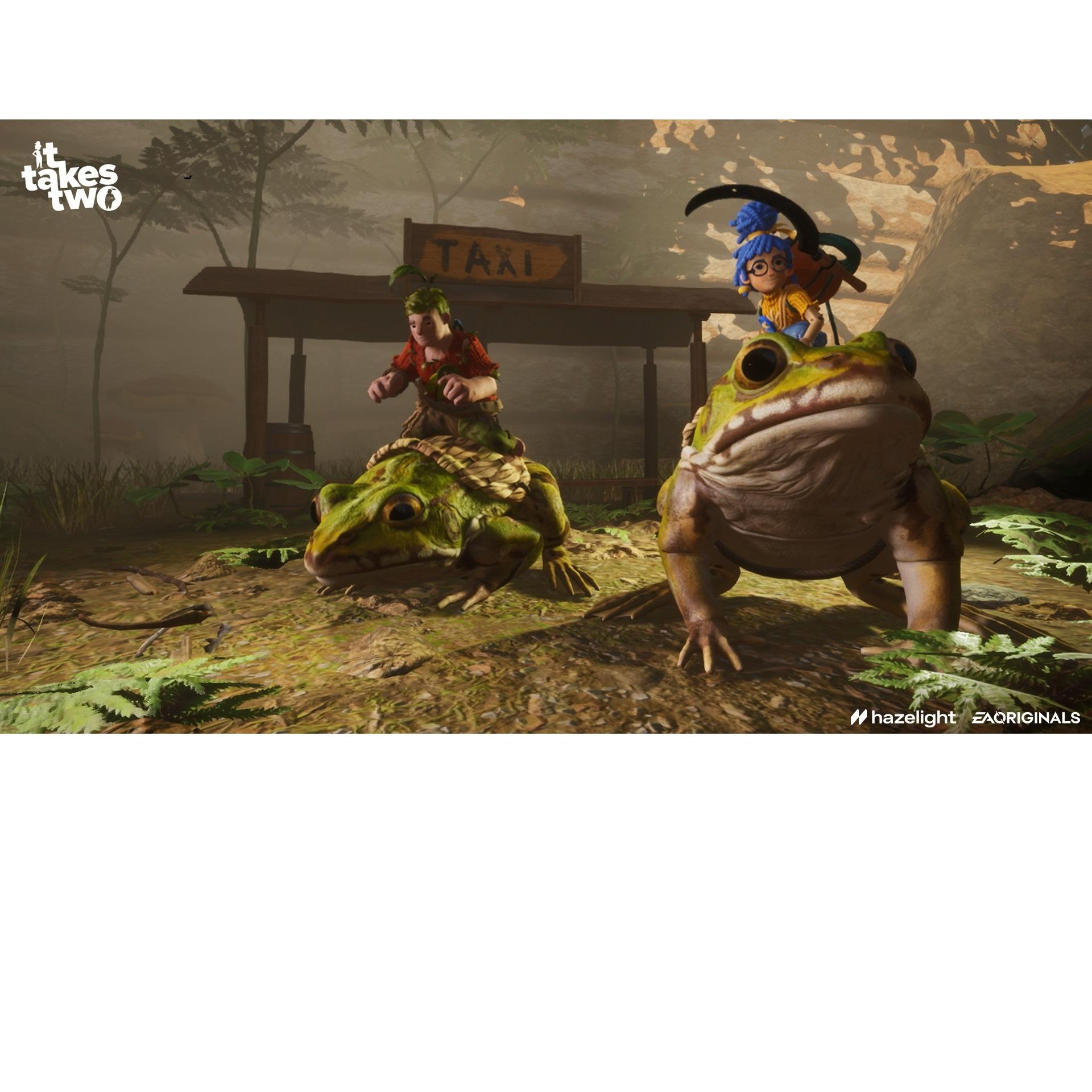 Voir la diapositive 5 : It Takes Two Nintendo Switch 2