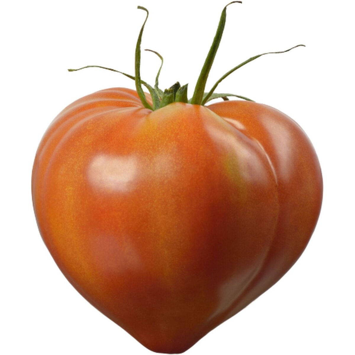 Tomate allongée cœur   1 pièce