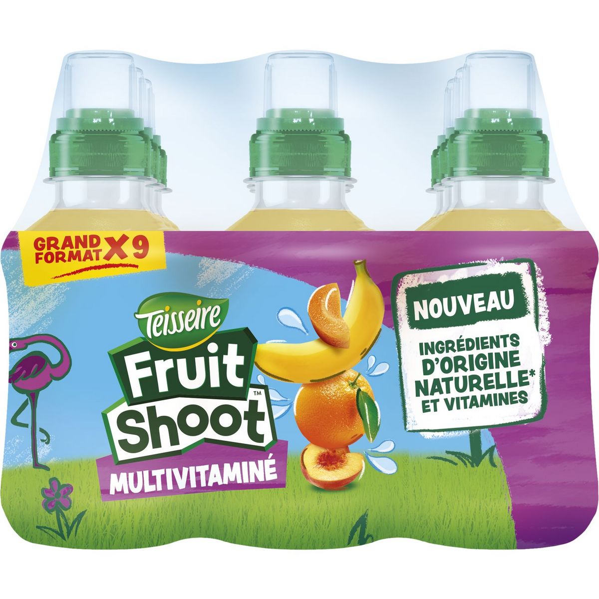 TEISSEIRE Boisson Fruit shoot au jus de fruits multivitamines 9x20cl