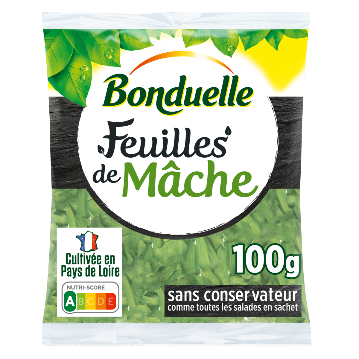 BONDUELLE Feuilles de mâche 100g