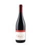 Vin rouge AOP Chinon Les Pentes 2020 75cl