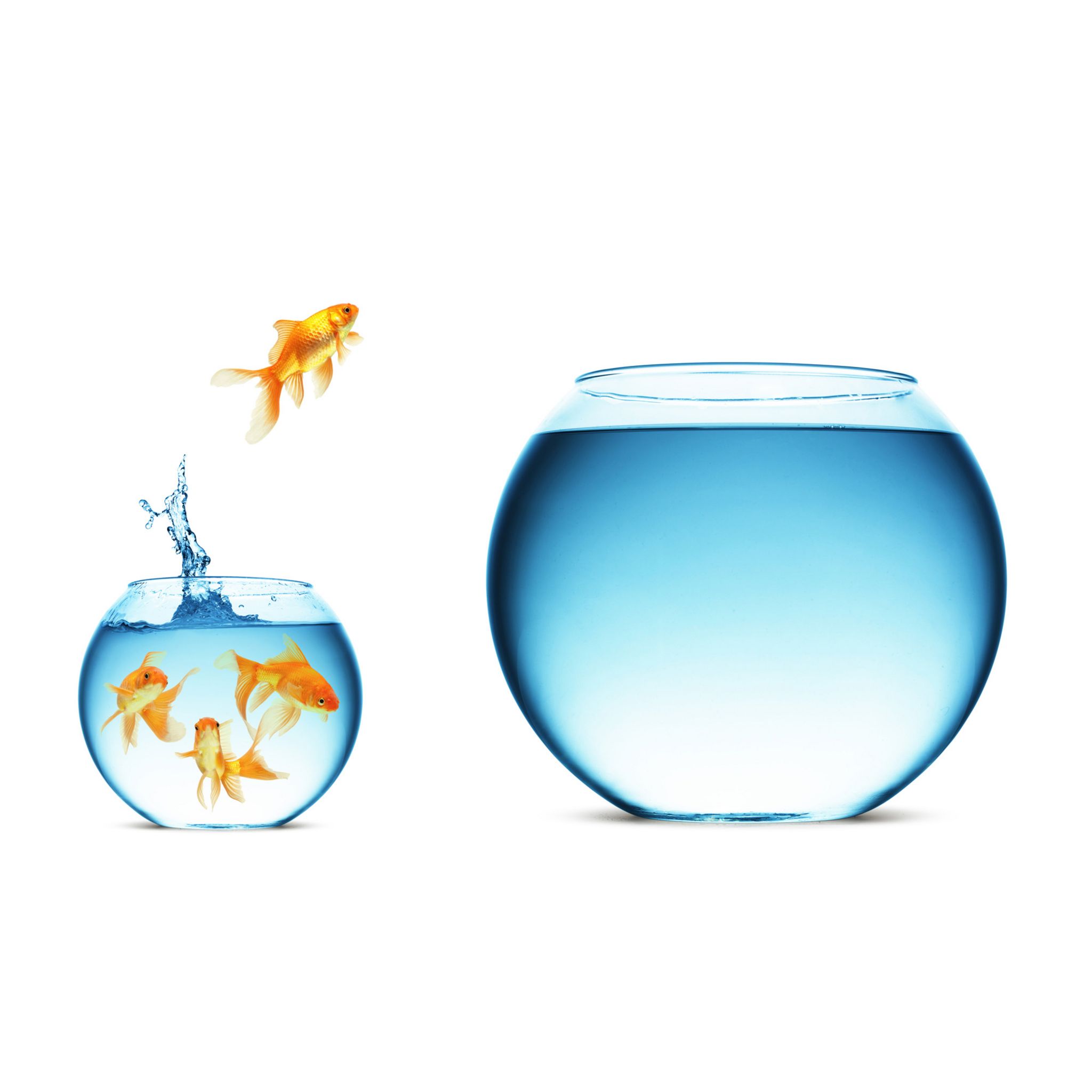 Voir la diapositive 1 : WHIRLPOOL  