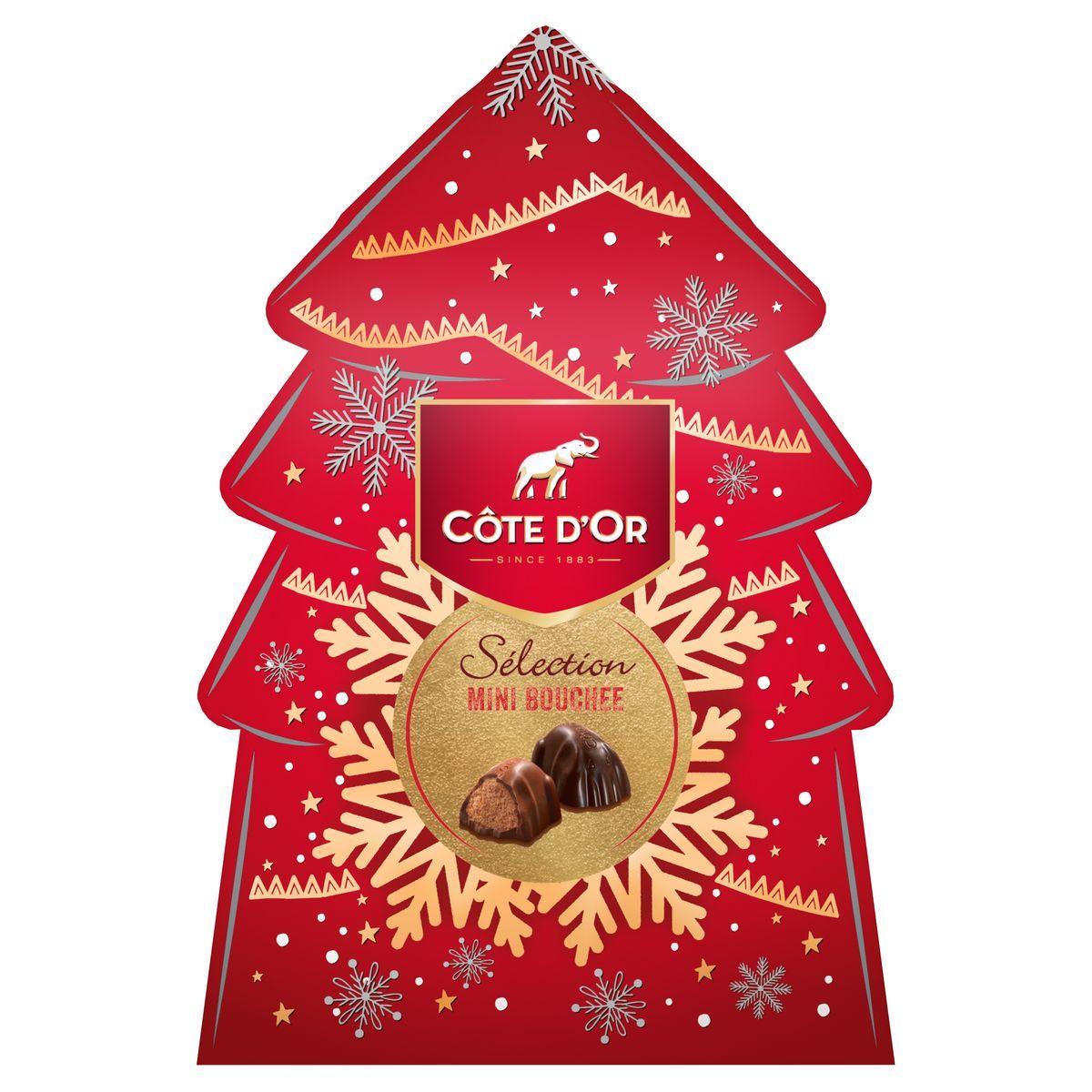COTE D'OR Sélection mini bouchées chocolats boite sapin 130g