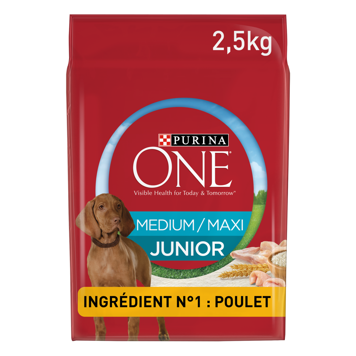 PURINA ONE Croquettes au poulet riz pour chiot +10kg 2,5kg