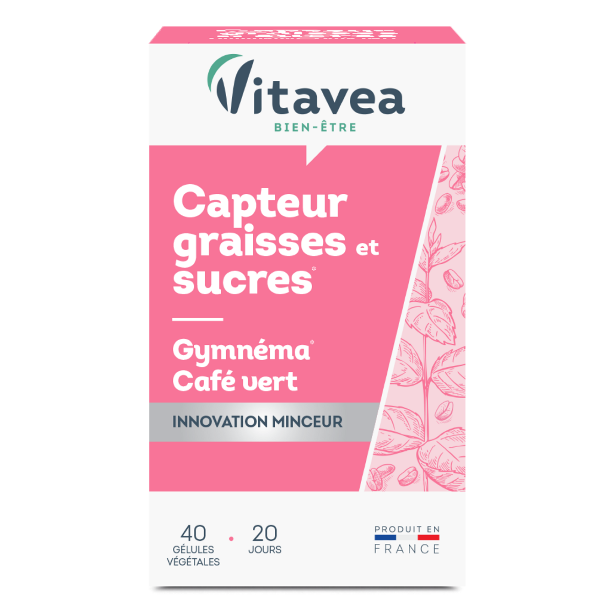 VITAVEA Gélules capteur de graisses et sucres café vert gymnema 1 boite 40 gélules