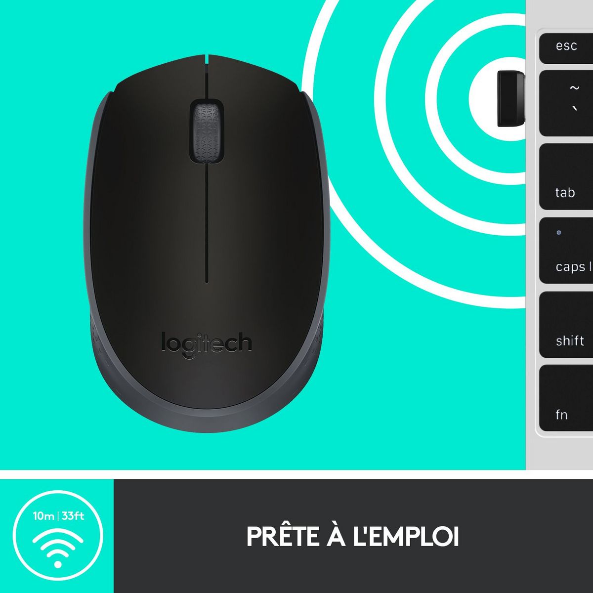 LOGITECH Souris sans Fil M171 Optique Noire