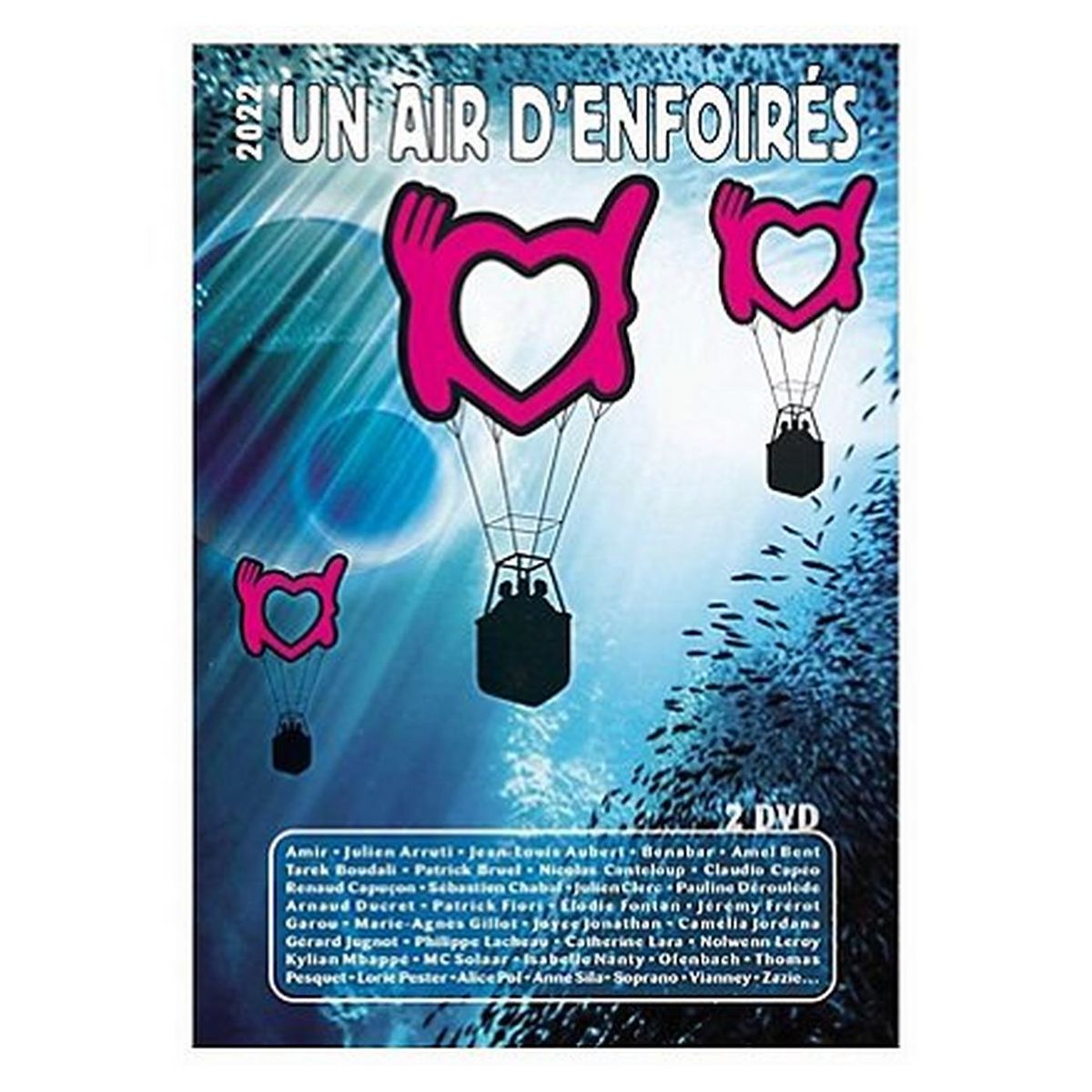 Un air d'Enfoirés - DVD