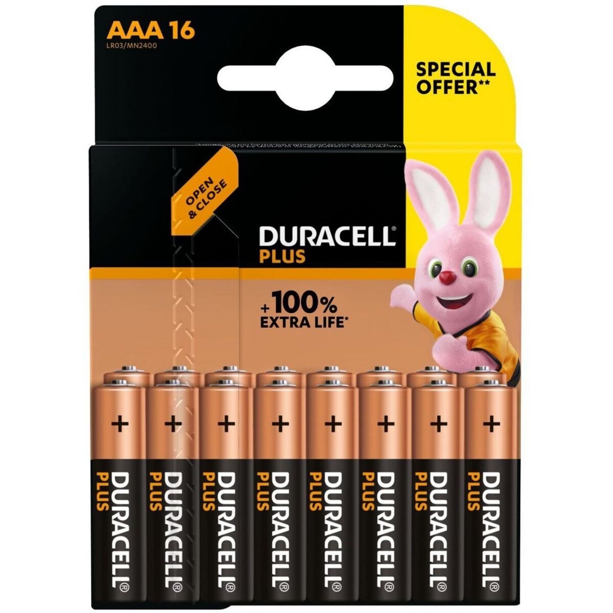 DURACELL Piles AAA 100% Offre spéciale - x16