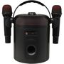 Voir la diapositive 13 : QILIVE Enceinte portable Q1894 Karaoké et Micro - Noir