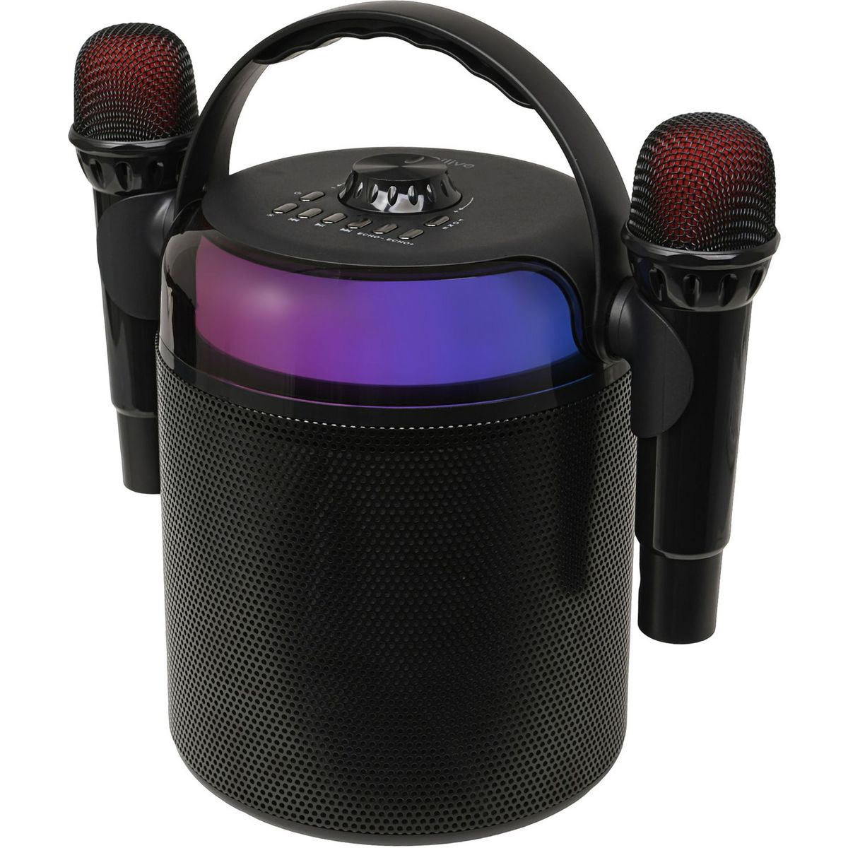 QILIVE Enceinte portable Q1894 Karaoké et Micro - Noir