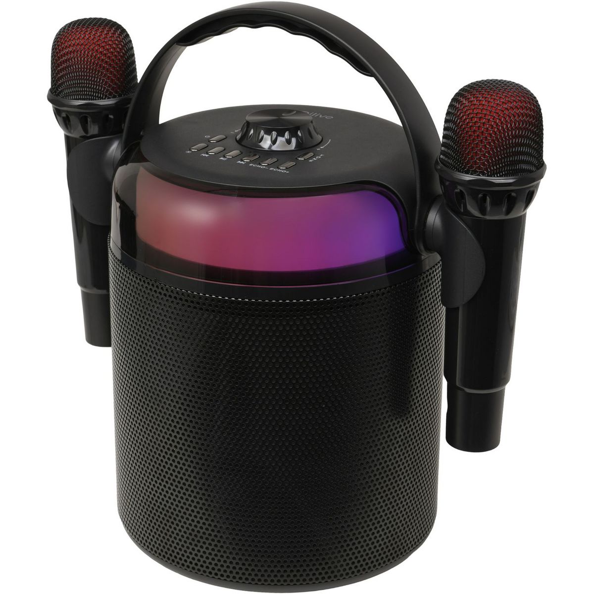 QILIVE Enceinte portable Q1894 Karaoké et Micro - Noir