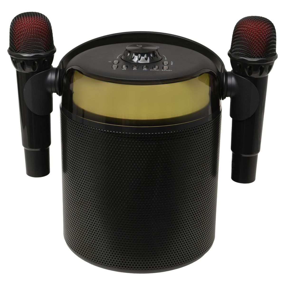 QILIVE Enceinte portable Q1894 Karaoké et Micro - Noir