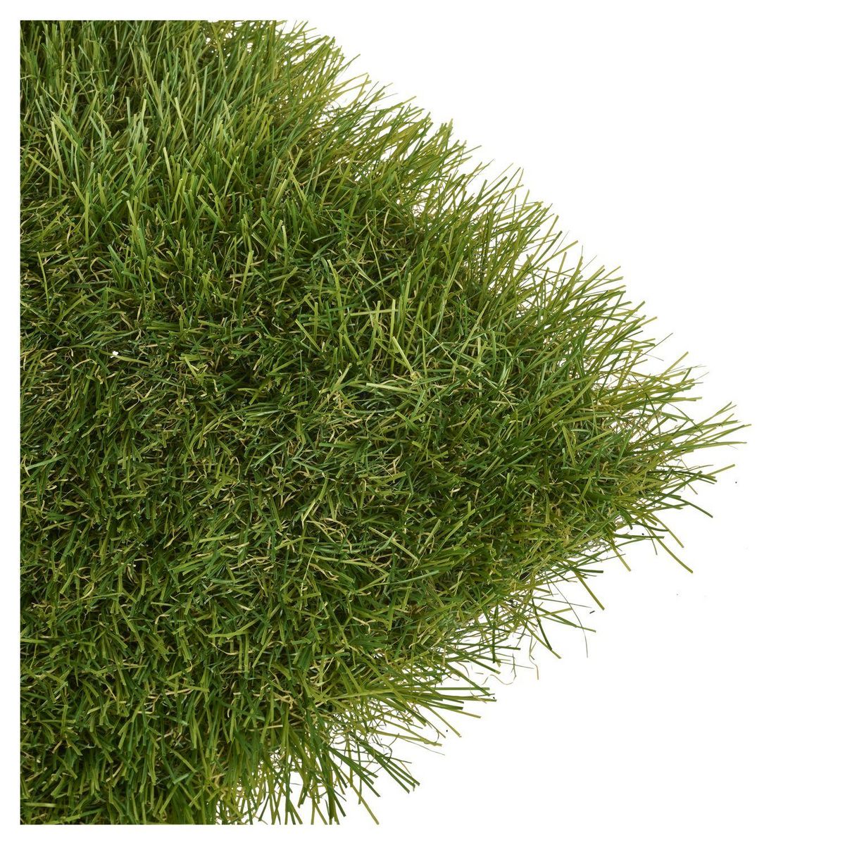 GARDENSTAR Gazon artificiel 3x1 m H30 mm en polypropylène - Vert