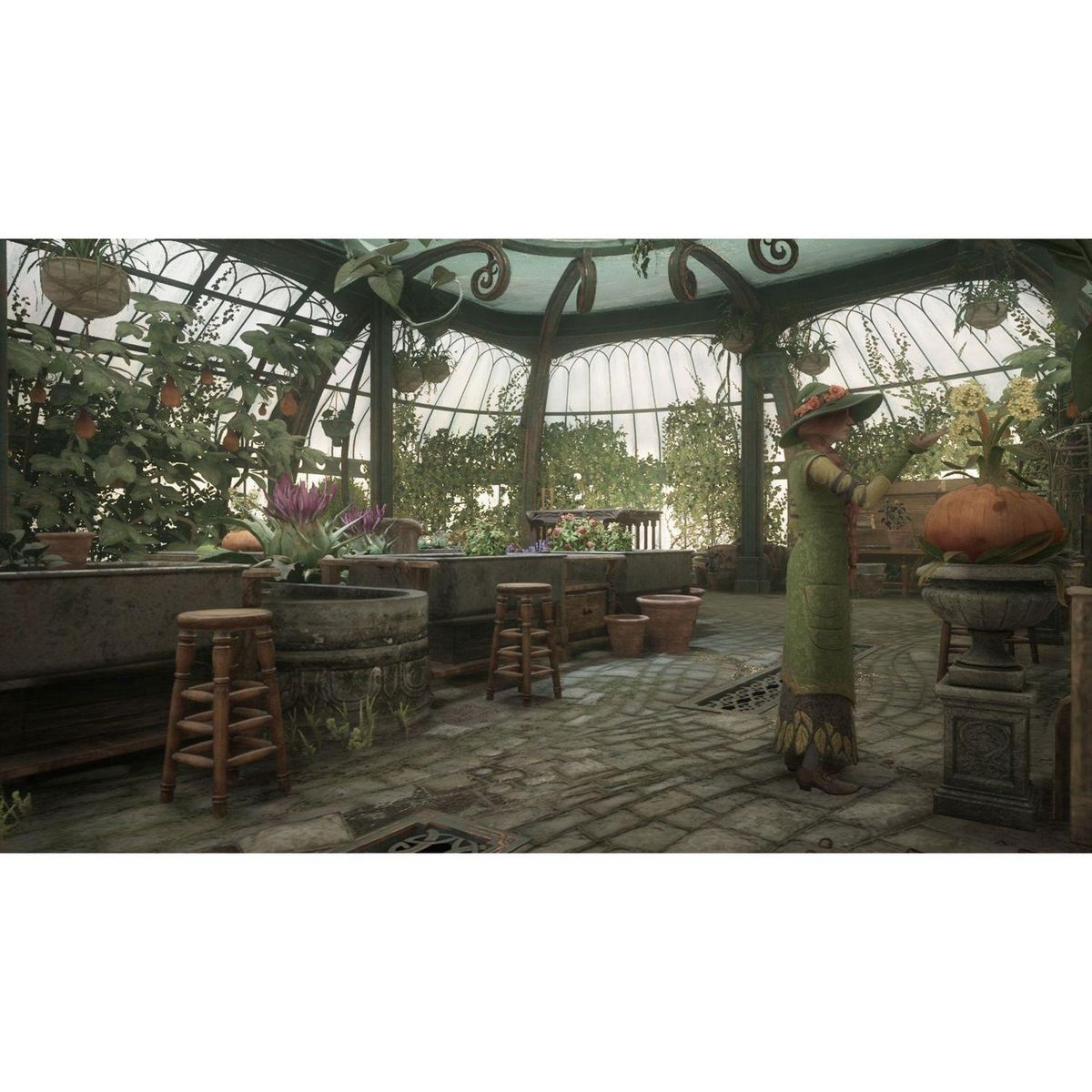 Hogwarts Legacy : L'Héritage de Poudlard Nintendo Switch 2