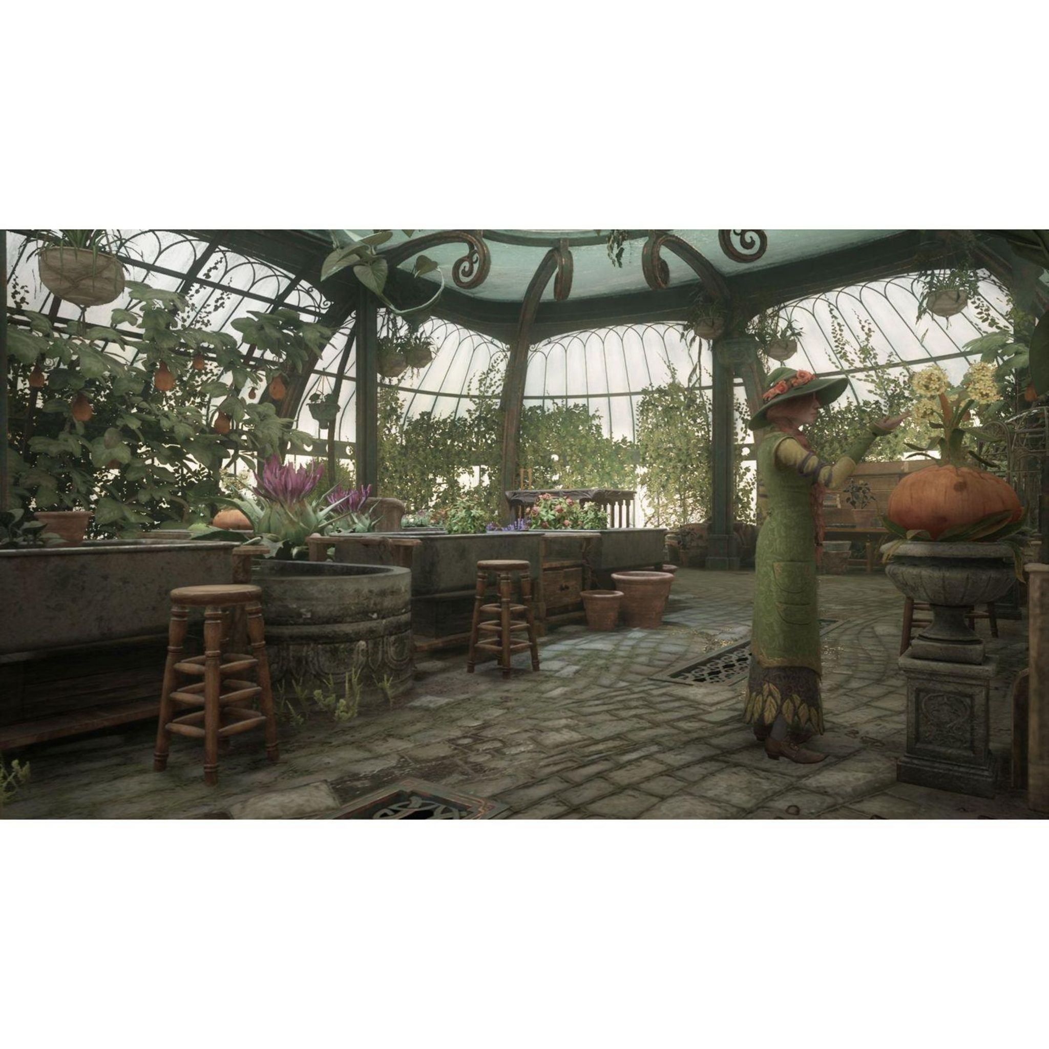 Voir la diapositive 4 : Hogwarts Legacy : L'Héritage de Poudlard Nintendo Switch 2