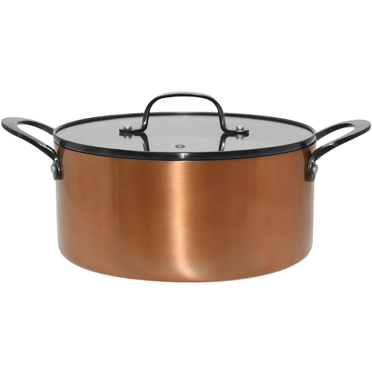 ACTUEL Faitout 24 cm aluminium tous feux dont induction