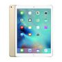 Voir la diapositive 1 : APPLE Tablette tactile iPad Pro WiFi + Cellular - Or - 256 Go