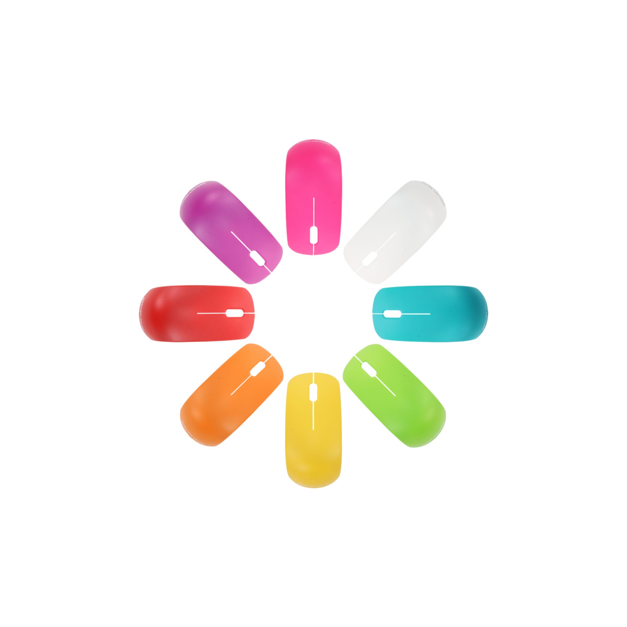 Voir la diapositive 2 : IRIS Souris IRISSCAN MOUSE 2