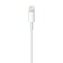 APPLE Câble Lightning vers USB pour iPhone 5/5C et 5S 