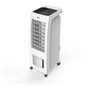 EWT Ventilateur Multifonction Cool'Air