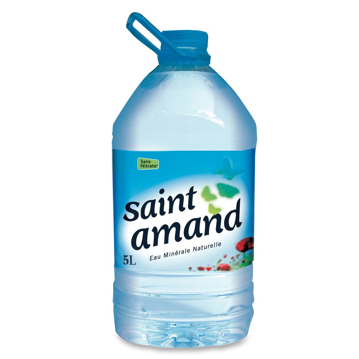 ST AMAND St Amand eau minérale 5l