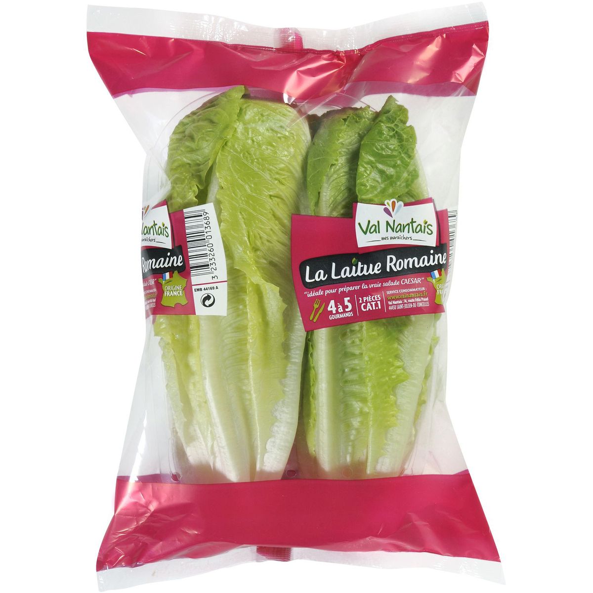 Cœur de romaine 2 pièces