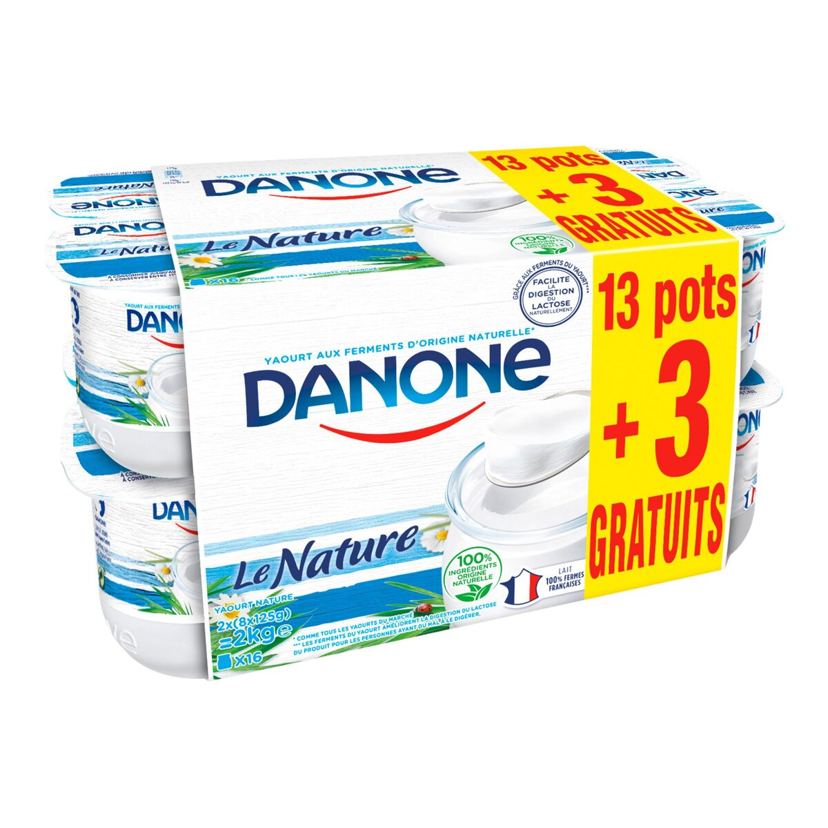 DANONE Danone ferme et nature 13x125g +3gts