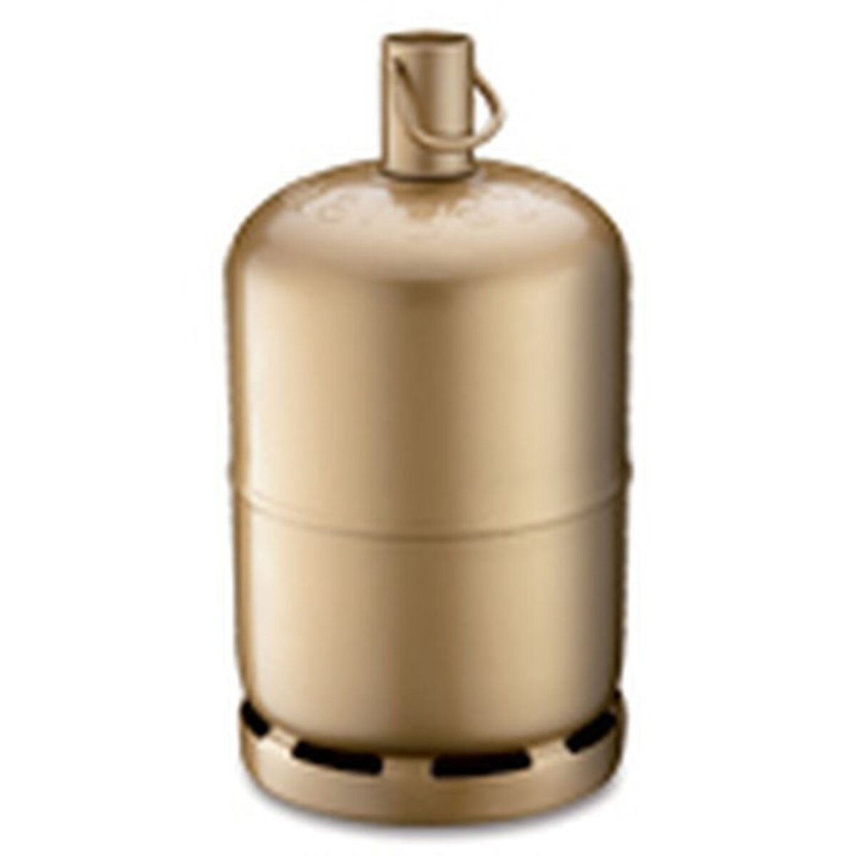 ANTARGAZ Bouteille de gaz propane 13kg 13kg pas cher Auchan.fr