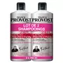 FRANCK PROVOST Expert Protection shampooing protecteur de chaleur cheveux abîmés 2x750ml