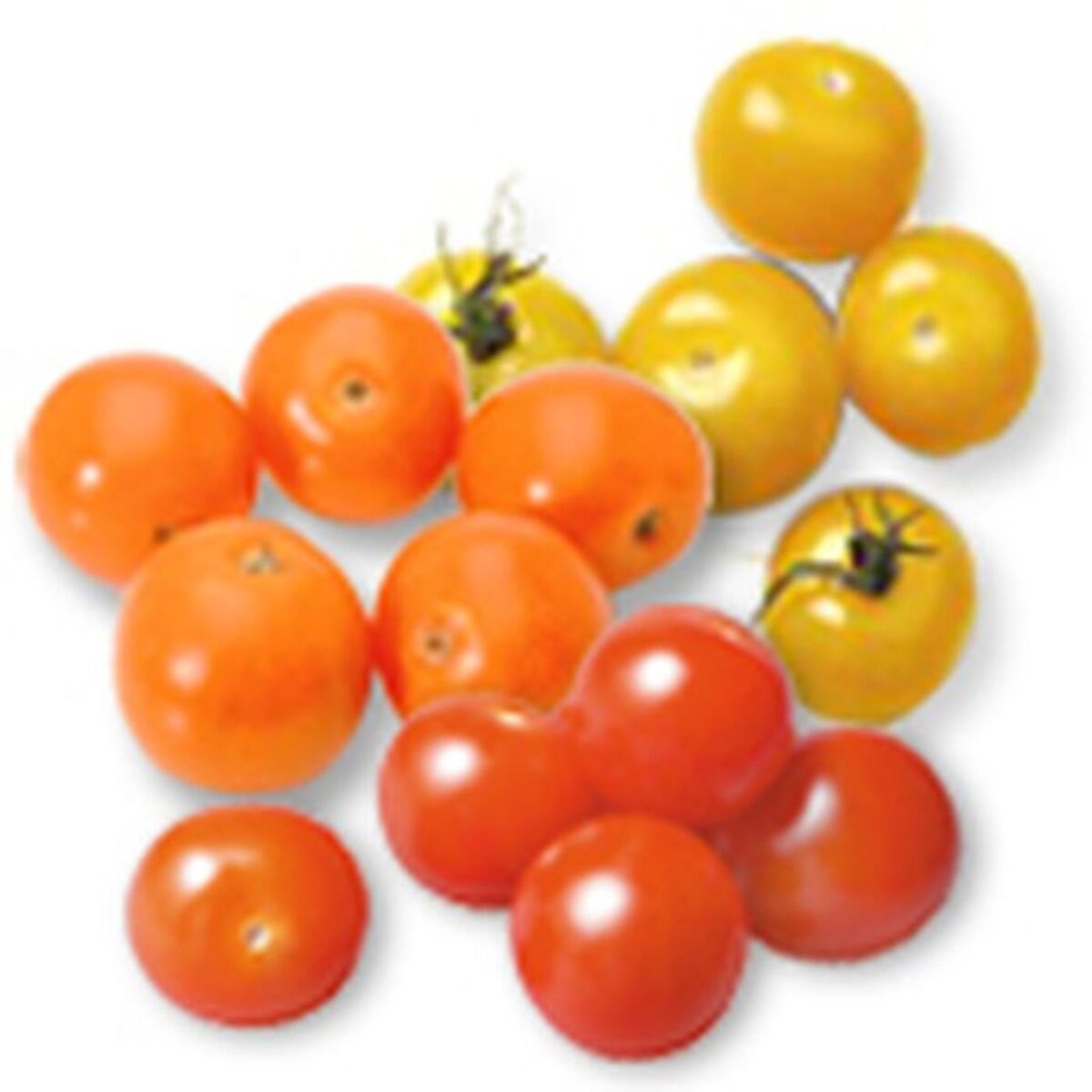 Tomates cerises rondes triapéro 500g 500g