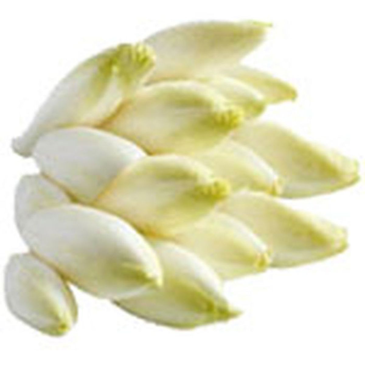endive 2kg