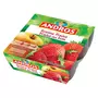 ANDROS Andros compote pomme fraise des bois 4x100g