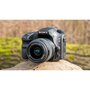 SONY Appareil Photo Reflex - A 68 - Noir + Objectif 18-55 mm