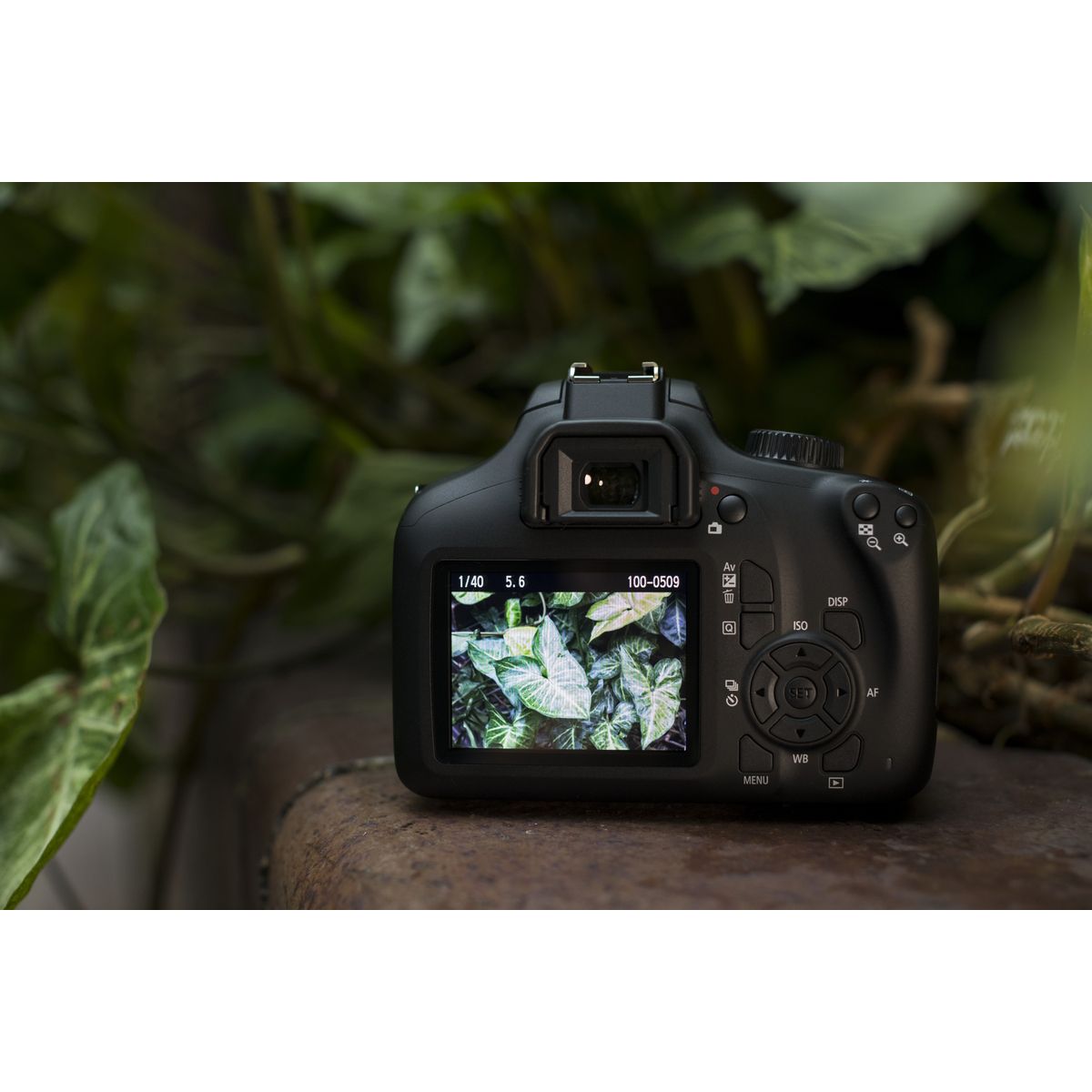 CANON Appareil Photo Reflex -  EOS 4000D - Noir + Objectif 18-55 mm