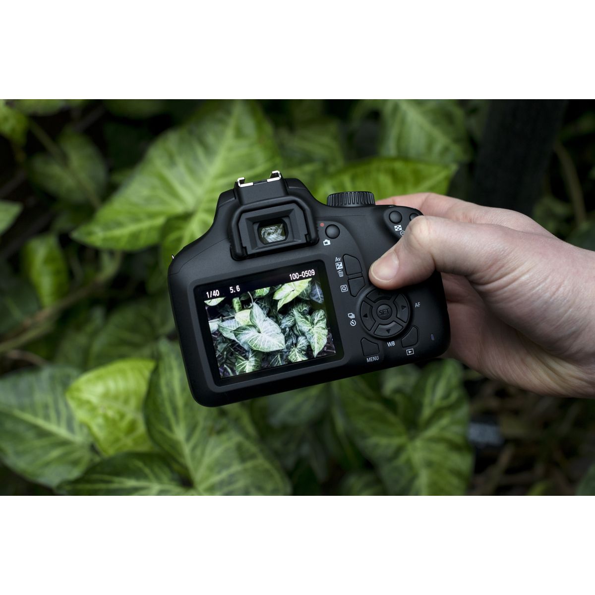 CANON Appareil Photo Reflex -  EOS 4000D - Noir + Objectif 18-55 mm