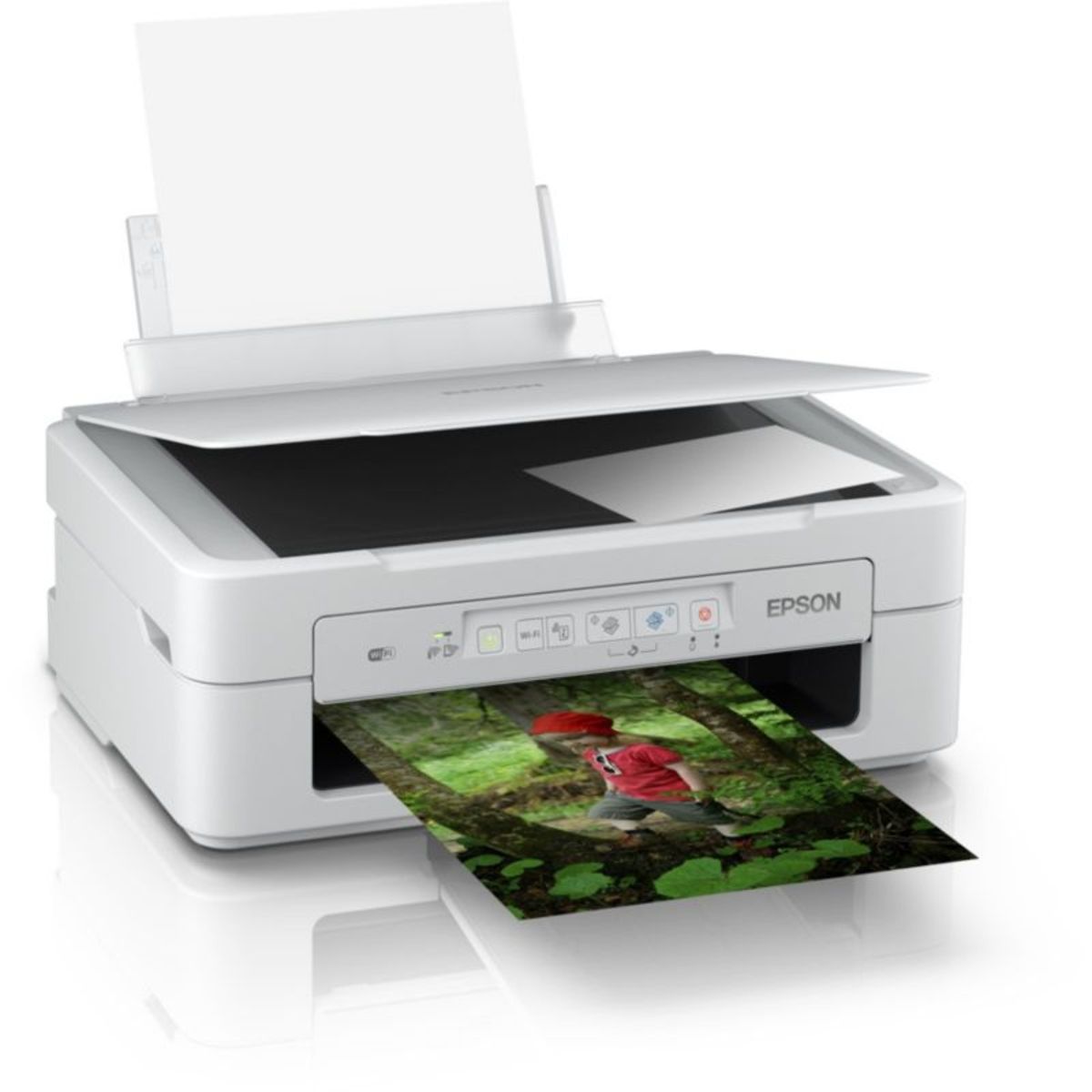 EPSON Imprimante multifonction - Jet d'encre - XP 257