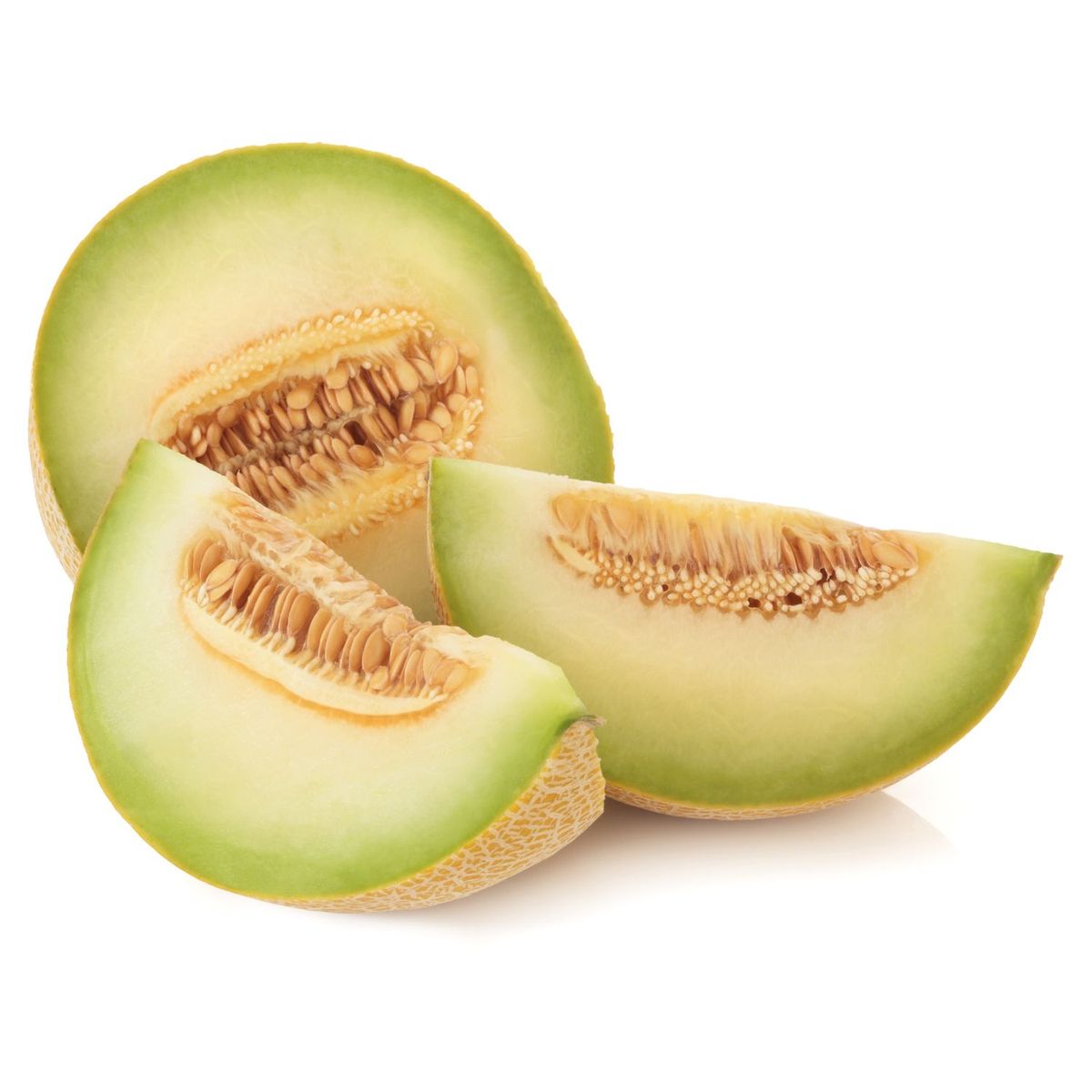 melon galia bio pièce