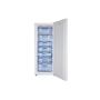 Voir la diapositive 1 : FRIGELUX Congélateur armoire CG175A+ - 175 L, Froid statique