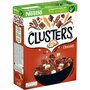 NESTLE Nestlé clusters chocolat 400g