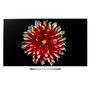 Voir la diapositive 1 : LG 55EG9A7V TV OLED Full HD 139 cm Smart TV