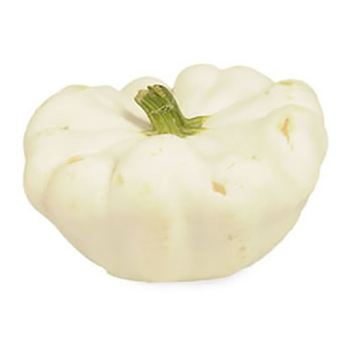 pâtisson bio pièce