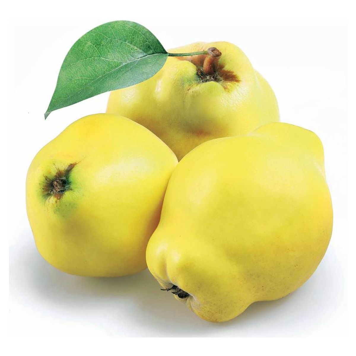 coings bio 1kg